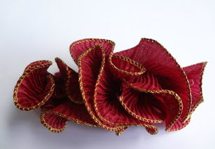 精美韓版百變頭花頸花 價(jià)格、廠家、圖片與蔬菜主題設(shè)計(jì)